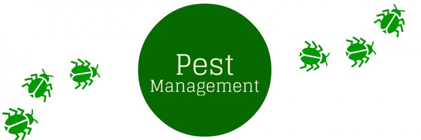 Houseplant Integrated Pest Management Clip Art - Lawn - Potted Plants Photos Transparent PNG