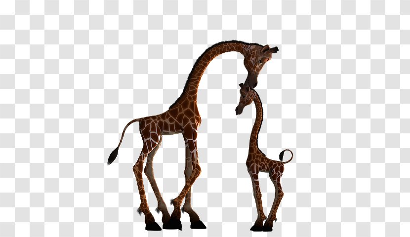 Giraffe Clip Art Image Illustration - Tail - Shahid Background Transparent PNG