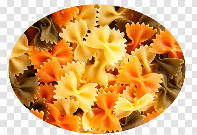 Butterfly Farfalle - Drawing - Picture Transparent PNG