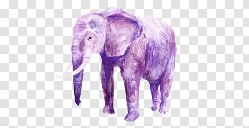 Elephant Festival Cuddly Seeing Pink Elephants Illustration - Infant - Purple Transparent PNG