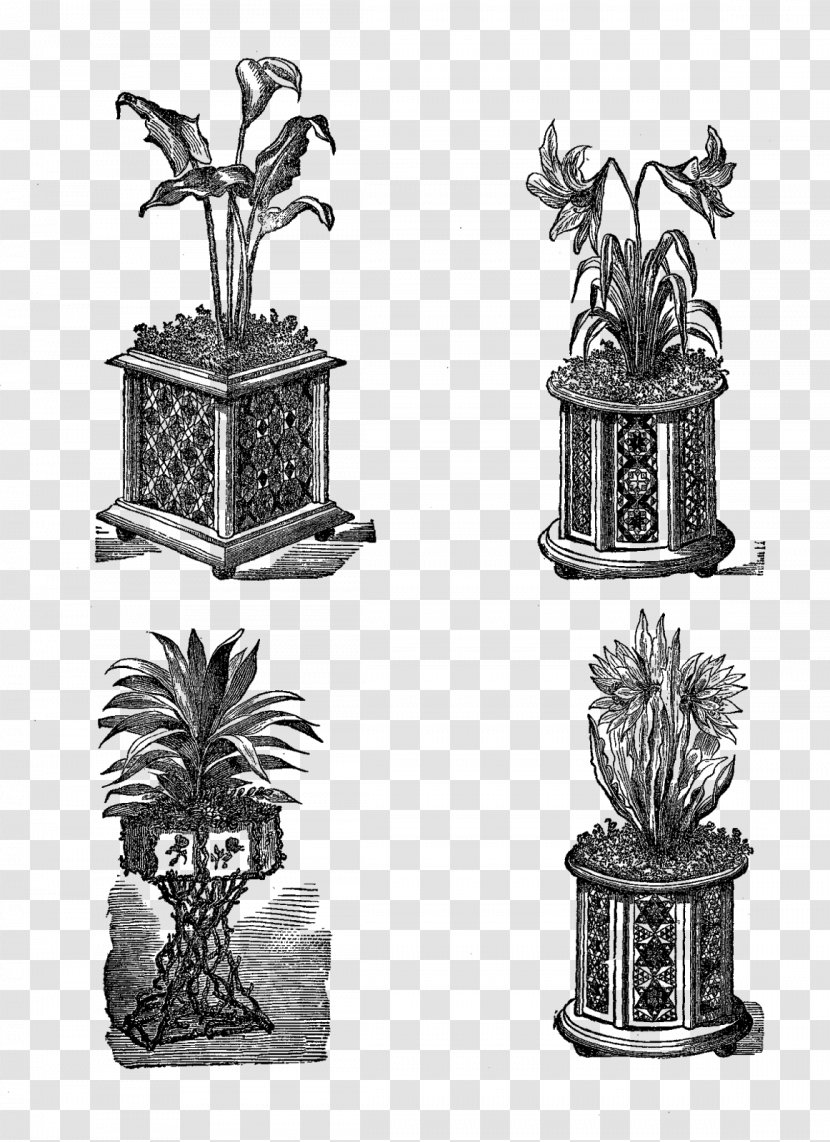 Black And White Monochrome Tree Plant - Potted Plants Transparent PNG