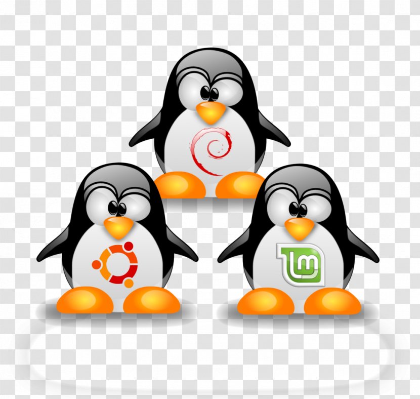 Linux Kernel Ubuntu Operating Systems Distribution - Logo Transparent PNG