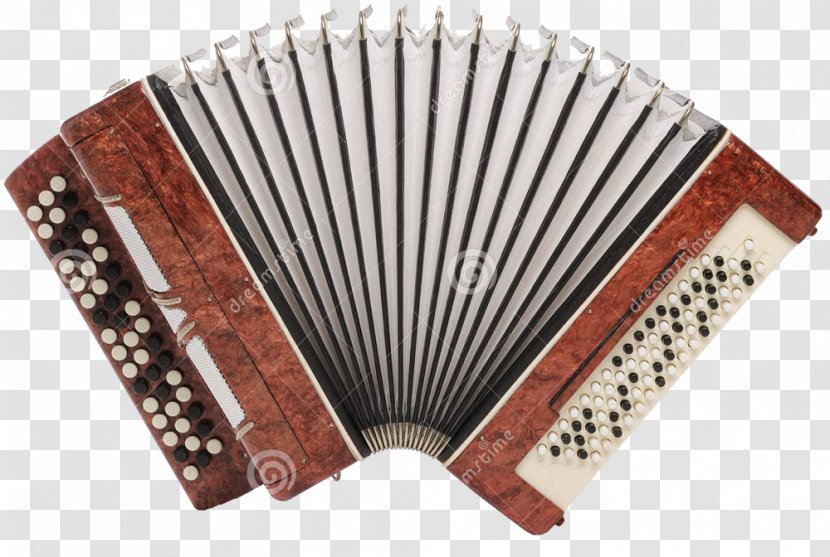 Musical Instruments Accordion Royalty-free Stock Photography - Watercolor Transparent PNG
