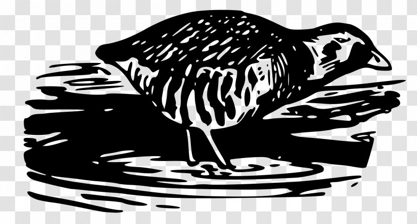 Bird Clip Art - Monochrome - Water Transparent PNG