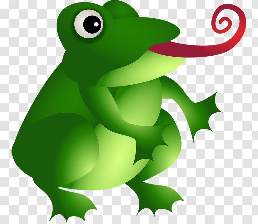 Amazon.com Frog Amphibian - Grass Transparent PNG