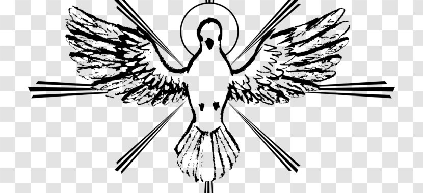 Seven Gifts Of The Holy Spirit Catechism Catholic Church Doves As Symbols - God Father - Pentecost Transparent PNG