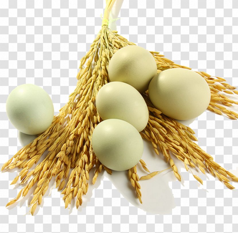 Chicken Coop Egg - Commodity - Wheat Seedling Black Eggs Transparent PNG