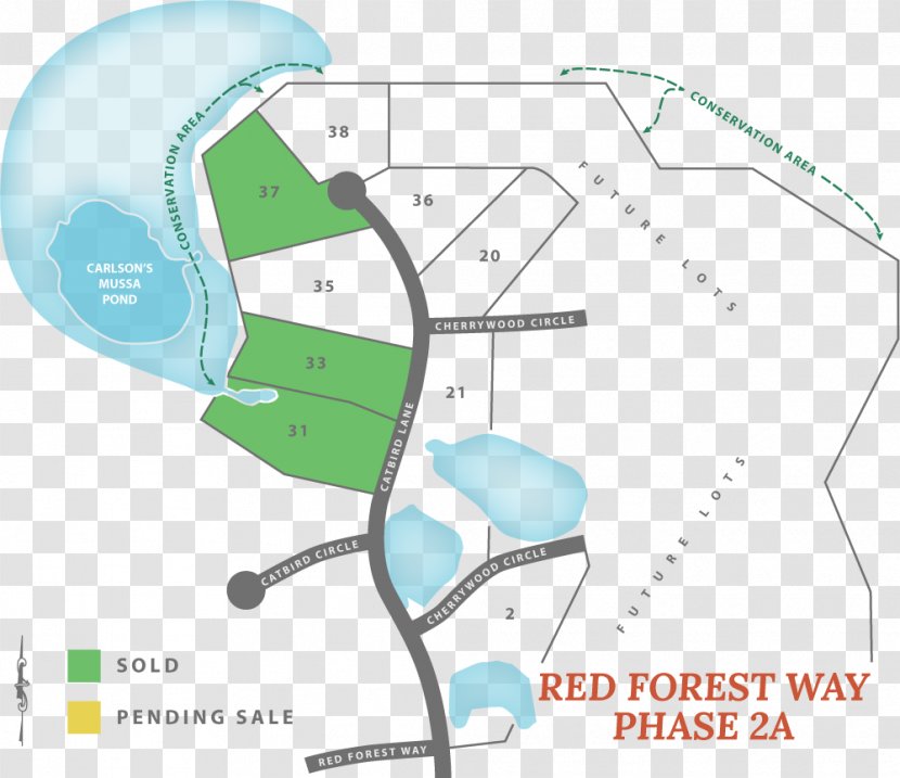 Red Forest Way Business - Acre - Road Transparent PNG