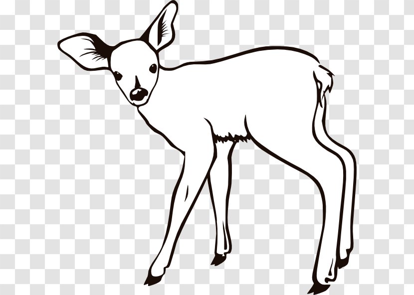 Reindeer White-tailed Deer Coloring Book Clip Art - Hunting Transparent PNG