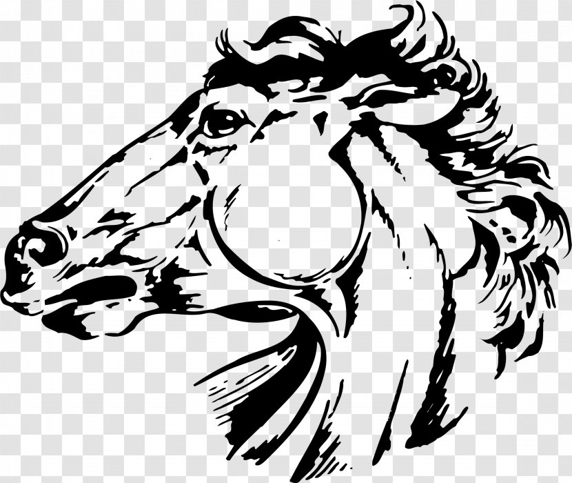 Tiger Horse Ayden Clip Art - Lion - Head Transparent PNG