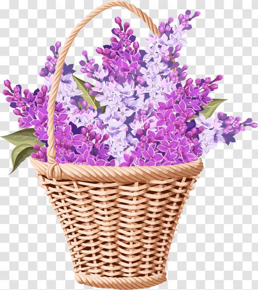 Lavender Flower - Cut Flowers - Baskets Transparent PNG