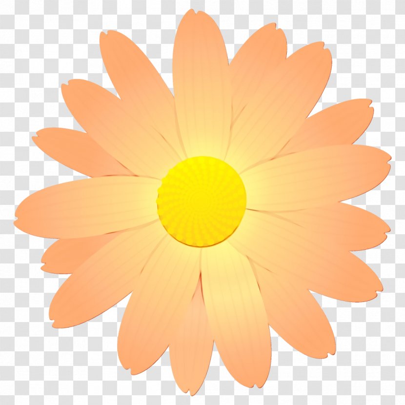 Orange - Sky - Chamomile Transparent PNG