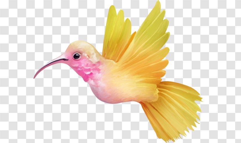 Hummingbird Clip Art - Yellow - Bird Transparent PNG