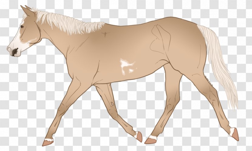 Mane Mustang Foal Stallion Colt - Bridle - Foxtail Transparent PNG