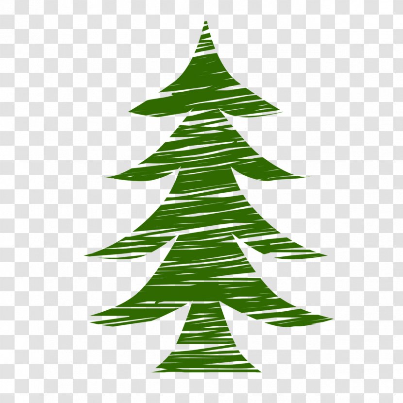 Nordmann Fir Pine Tree Evergreen - Christmas Ornament - Fir-tree Transparent PNG