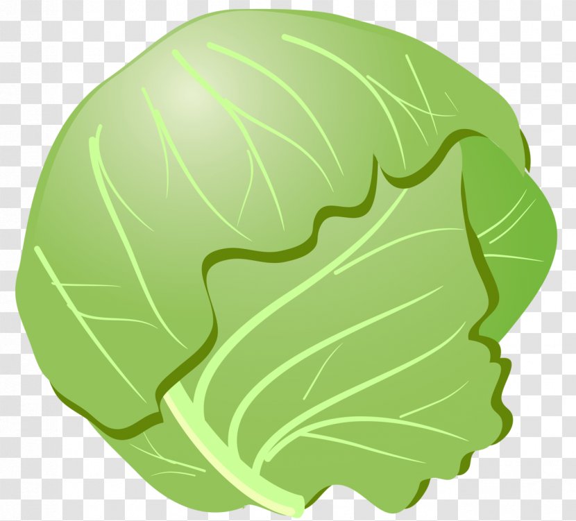 Cabbage Euclidean Vector - Silhouette Transparent PNG