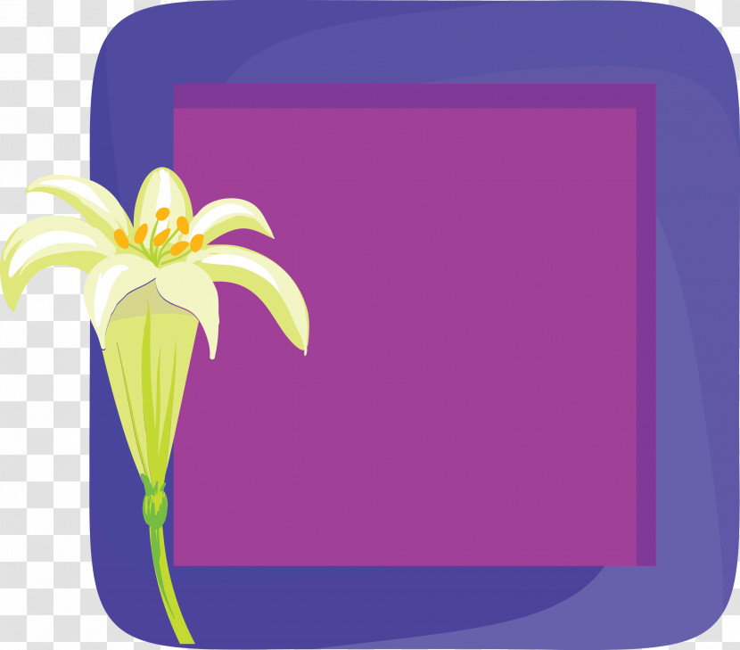 Flower Photo Frame Flower Frame Photo Frame Transparent PNG