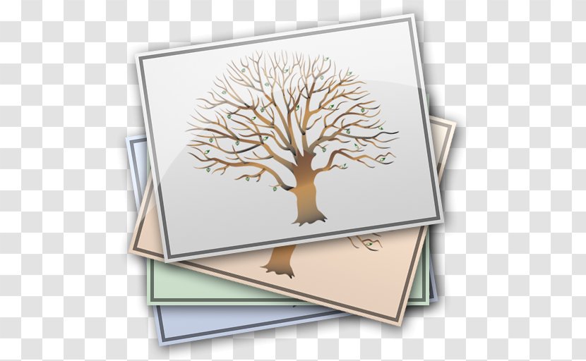 Genealogy MacFamilyTree Your Family Tree Transparent PNG