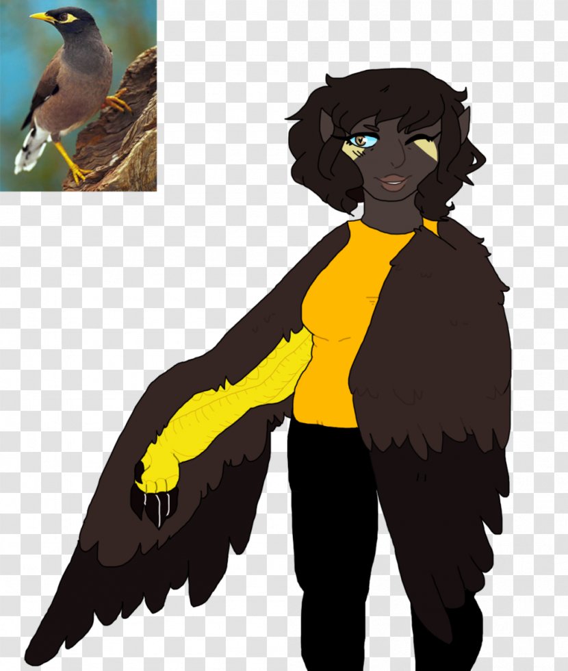 Drawing American Boy Song Cat - Human - Mynah Transparent PNG