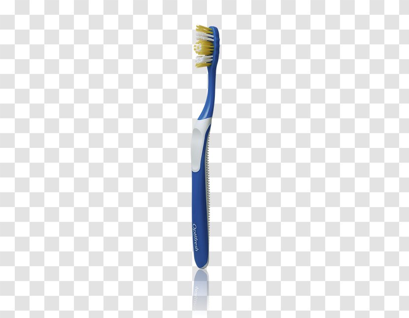 Toothbrush Map Bxf8rste - Physical Transparent PNG