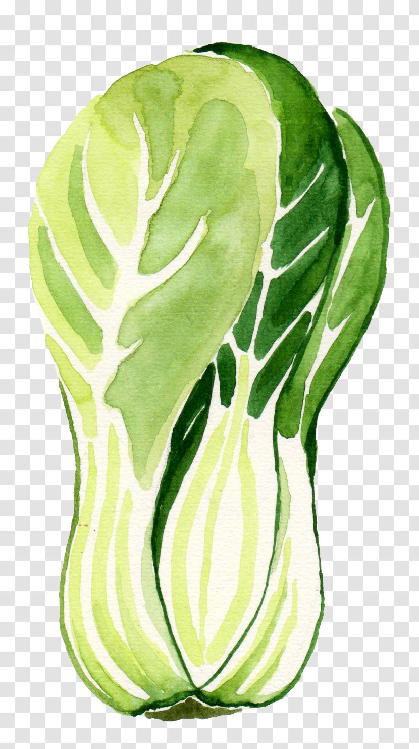 Green Leaf Background - Food Cruciferous Vegetables Transparent PNG