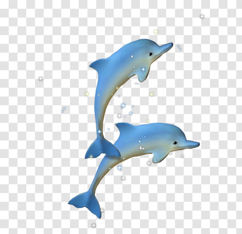 Clip Art Dolphin Drawing Image - Striped Transparent PNG