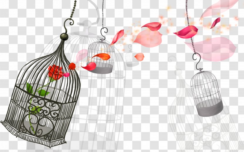 Cartoon Children's Song Birdcage - Product Design - Bird Cage Transparent PNG