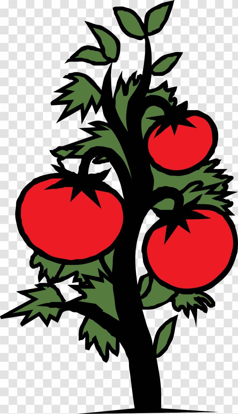 Cherry Tomato Vegetable Plant Clip Art - Artwork Transparent PNG