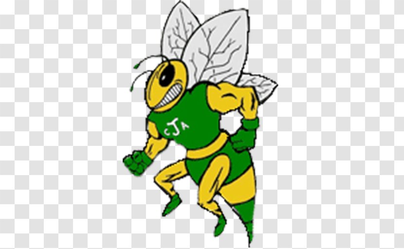 Charlotte Hornets National Secondary School Junior Varsity Team Insect - Hornet - Invertebrate Transparent PNG