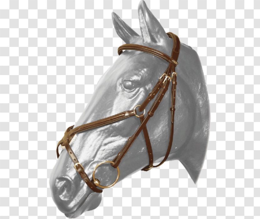 Bridle Cob Noseband Halter Rein - English - Centaur Transparent PNG