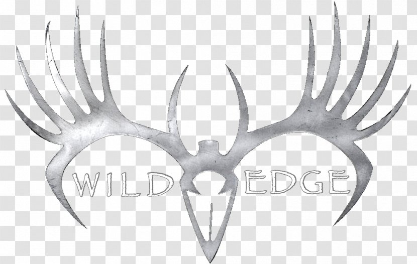 Hunting Tree Climbing Outdoor Enthusiast Wild Edge Inc - Ladder Transparent PNG