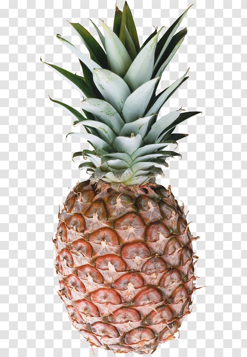 Pineapple Clip Art - Fruit Transparent PNG