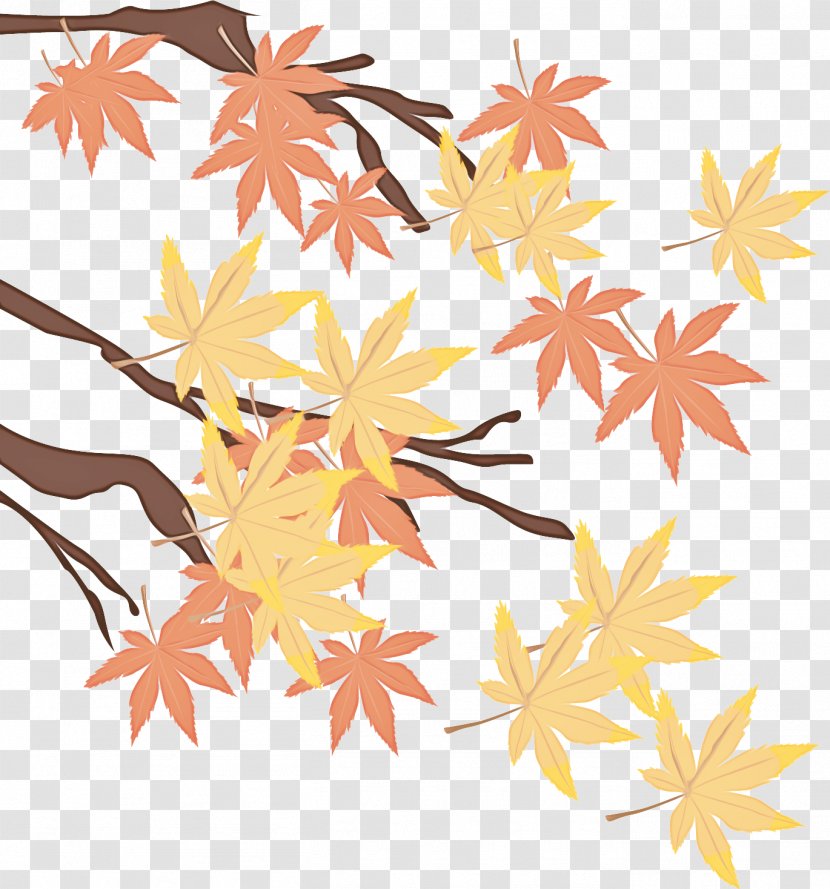 Maple Leaf - Yellow - Plant Stem Transparent PNG