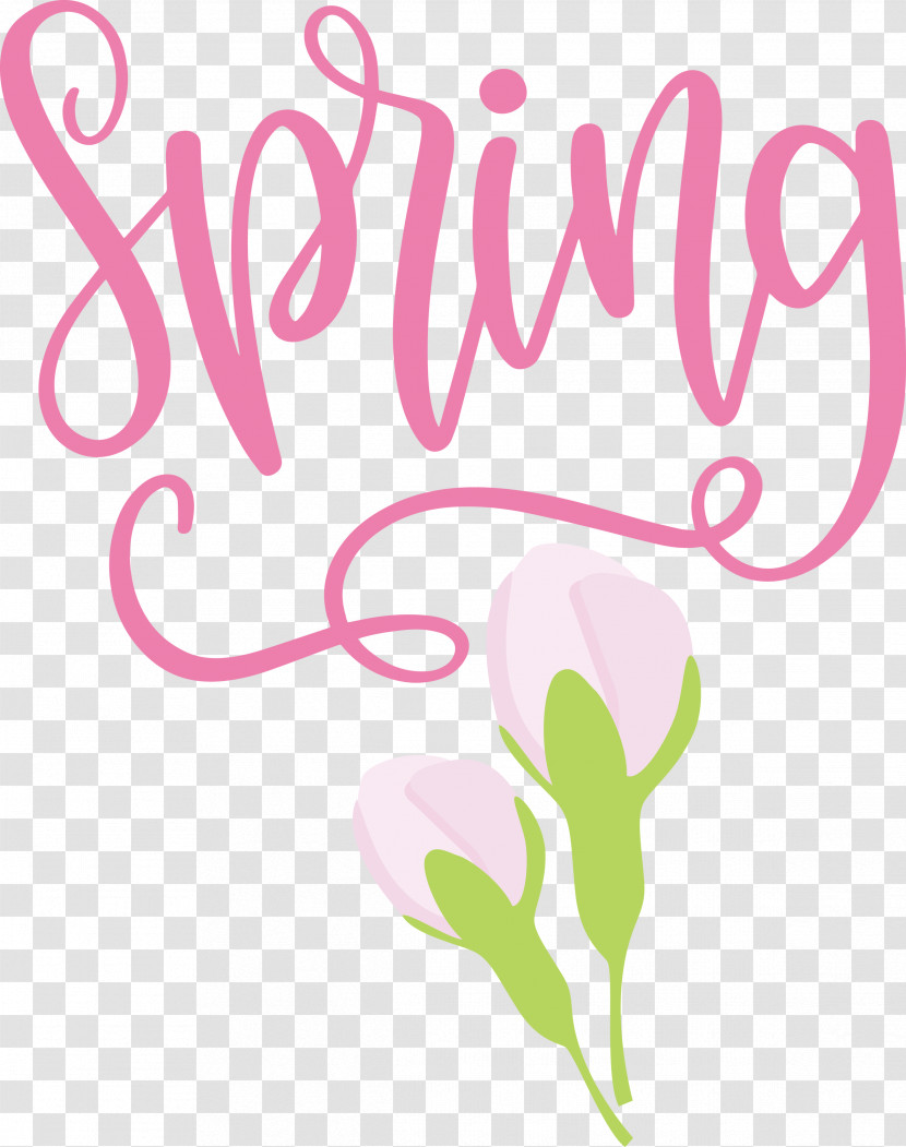 Spring Transparent PNG