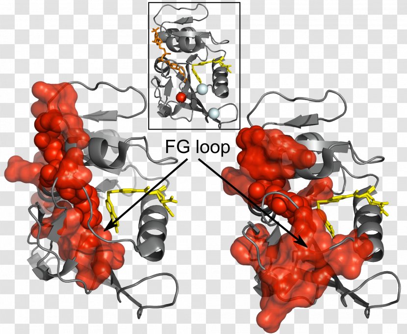 Protein Structure Structural Biology Design - Collective Motion Transparent PNG