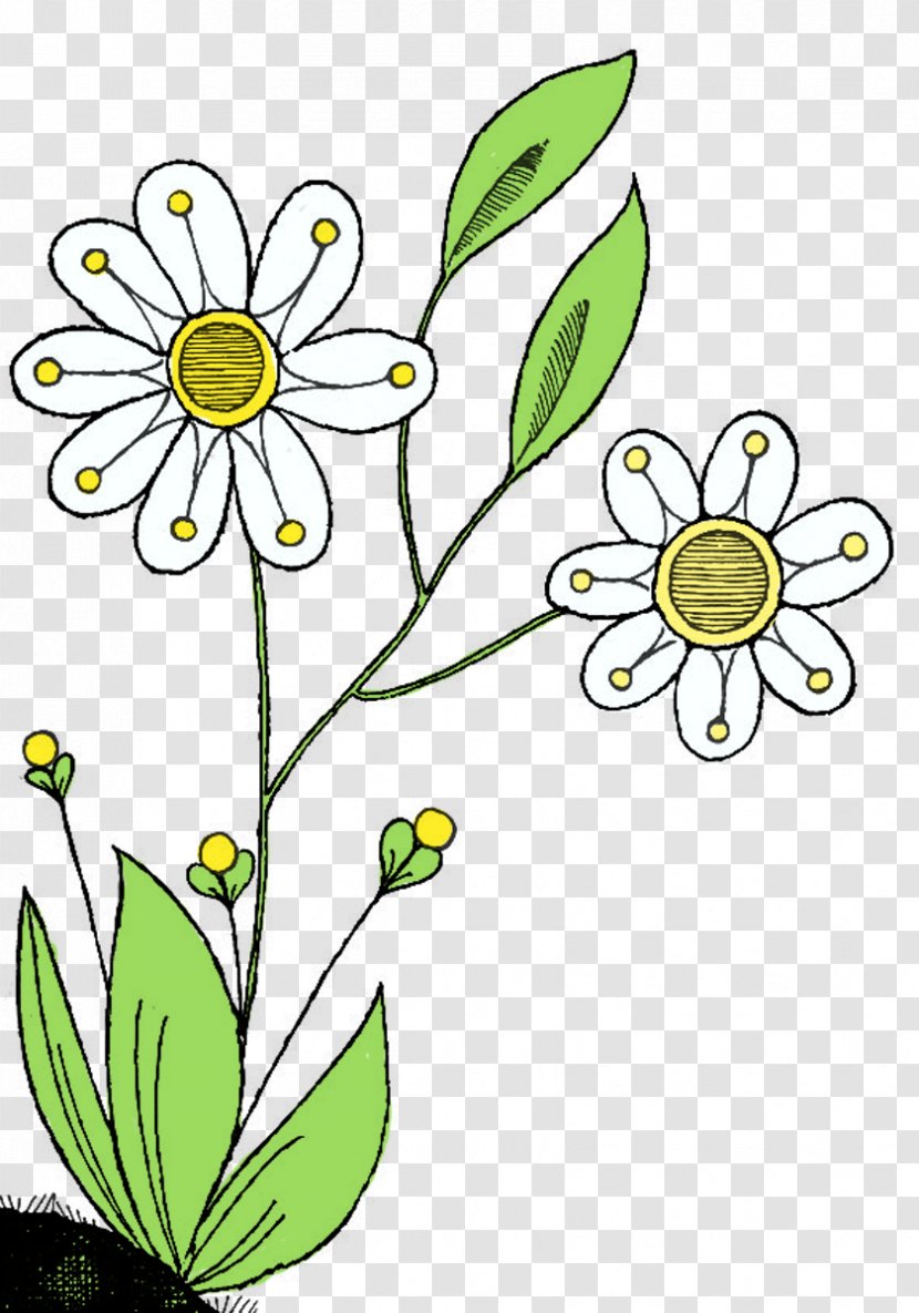 Art Flower Floral Design Clip - Cut Flowers - Happy Transparent PNG