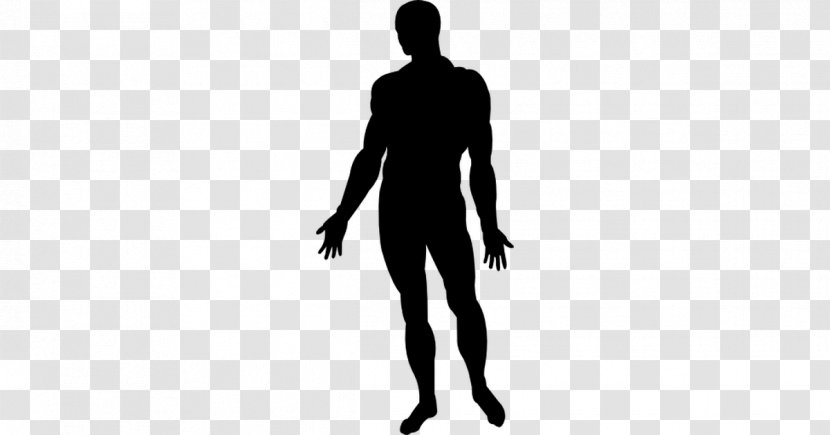 Human Body Silhouette Homo Sapiens Photography - Drawing Transparent PNG