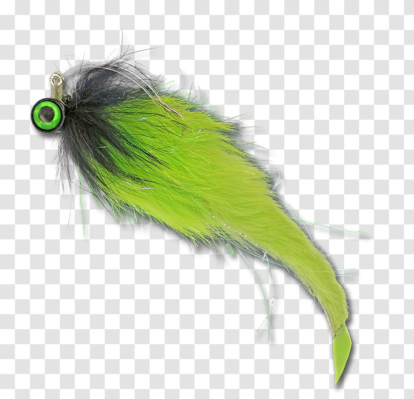 Feather - Artificial Fly Transparent PNG