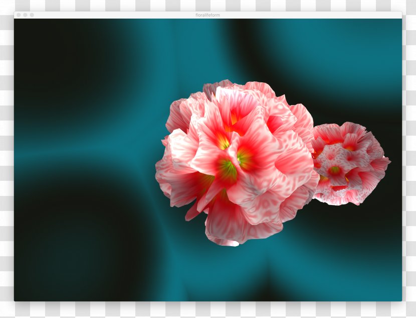 Flowering Plant Petal Desktop Wallpaper - Pnk - Mesh Shading Transparent PNG