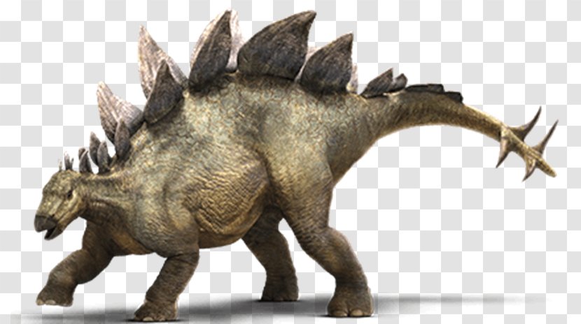 Stegosaurus Allosaurus Ankylosaurus Lego Jurassic World Dinosaur - Herbivore Transparent PNG