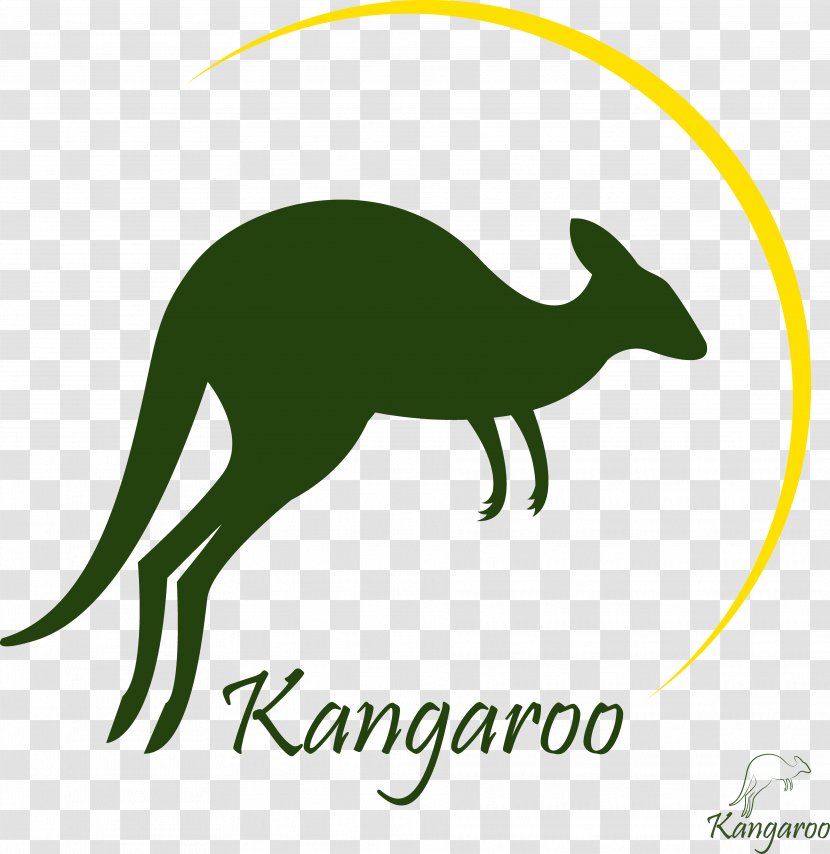 Royalty-free Kangaroo Photography - Stock - Vector Decorative Transparent PNG