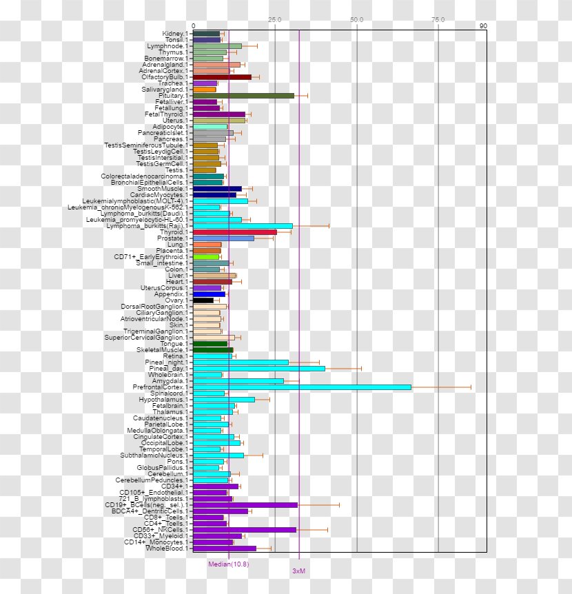 TERF1 Telomerase Cell Gene Strikingly - Tissue - Especially For Youth Transparent PNG