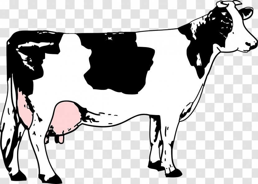 Holstein Friesian Cattle Beef Black And White Dairy Clip Art - Mammal - Cow Transparent PNG