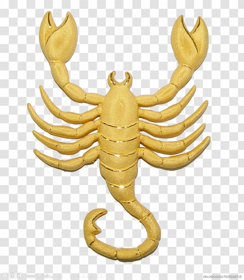 Scorpion Capricornus Constellation - Scorpius - Gold Pattern Transparent PNG