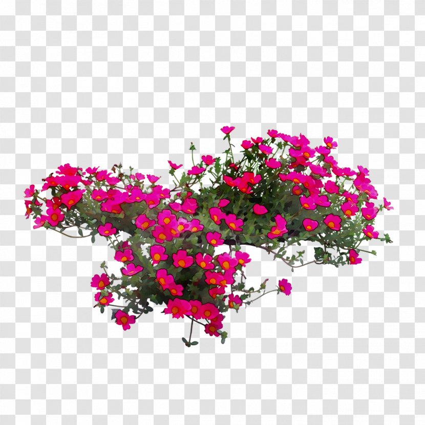 Floral Design Cut Flowers Rose Annual Plant Herbaceous - Flower Transparent PNG