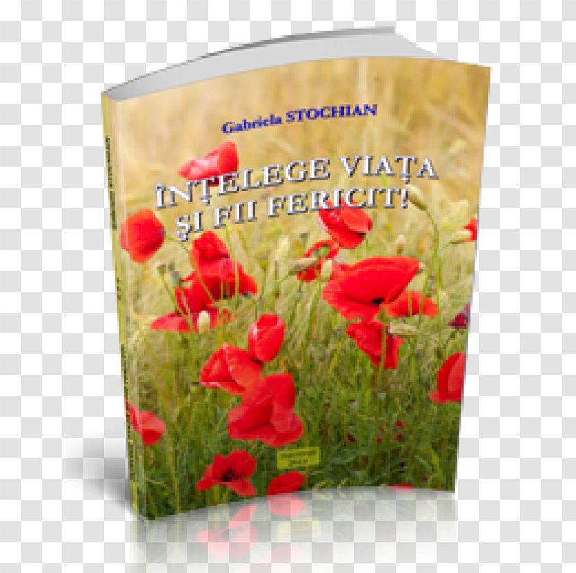 Chapter Book Text Paperback Spirituality - Floristry Transparent PNG