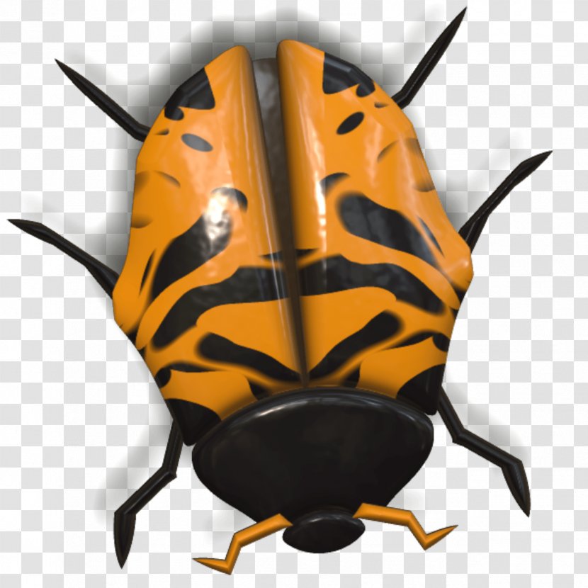 Beetle Photography Coccinella Septempunctata - Invertebrate - Lady Bug Transparent PNG