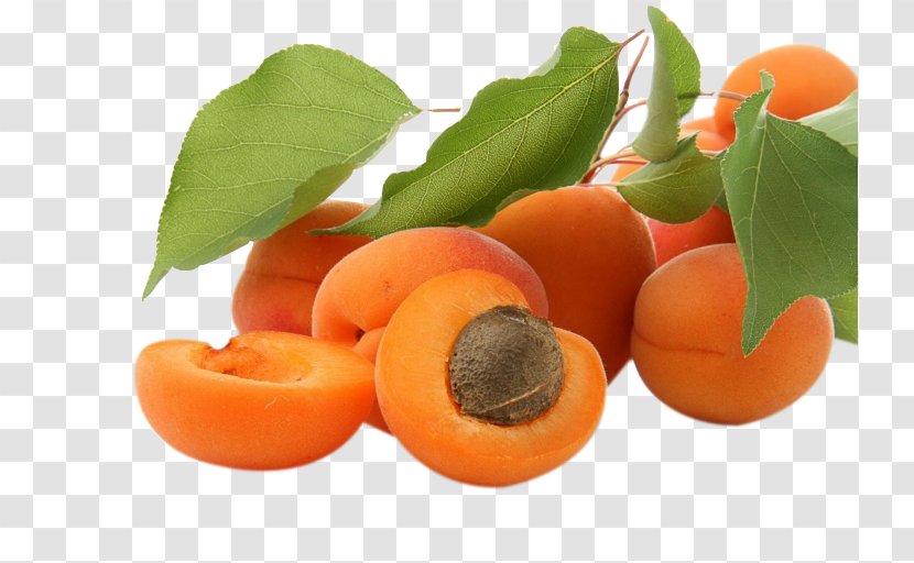 Apricot 4K Resolution High-definition Video Fruit Wallpaper - Vegetarian Food - Apricots Transparent PNG