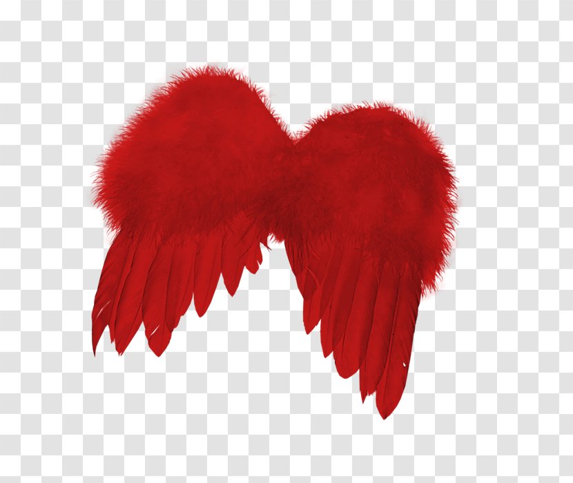 Feather - Lossless Compression - Red Wings Transparent PNG