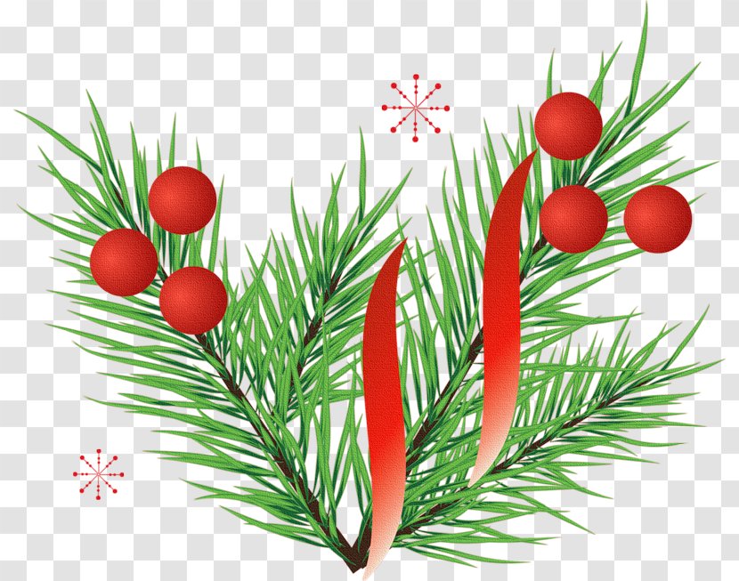 Christmas Ornament Decoration Santa Claus Day Tree Transparent PNG